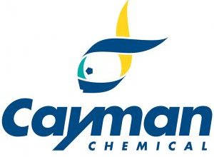Cayman-Logo-300x244